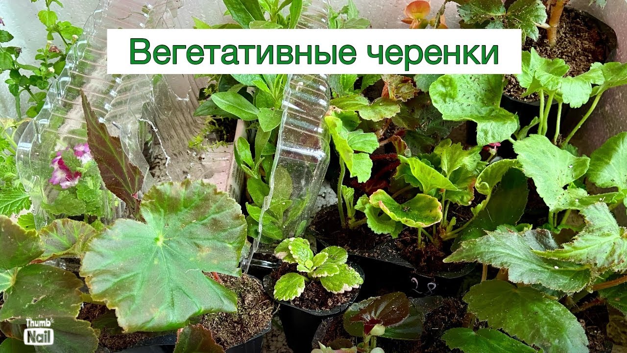 Интернет Магазин Веры Глуховой Каталог Весна 2022 Интернет Магазин Веры Глуховой Каталог Весна 2022